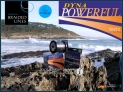 GOLDEN FISH® DYNA-POWERFUL