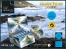 GOLDEN FISH®  MASTER POWER +plus