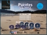 GOLDEN FISH® PUENTES DE LINEA transparent.